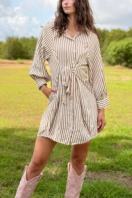 Loretta Striped Button Down Dress